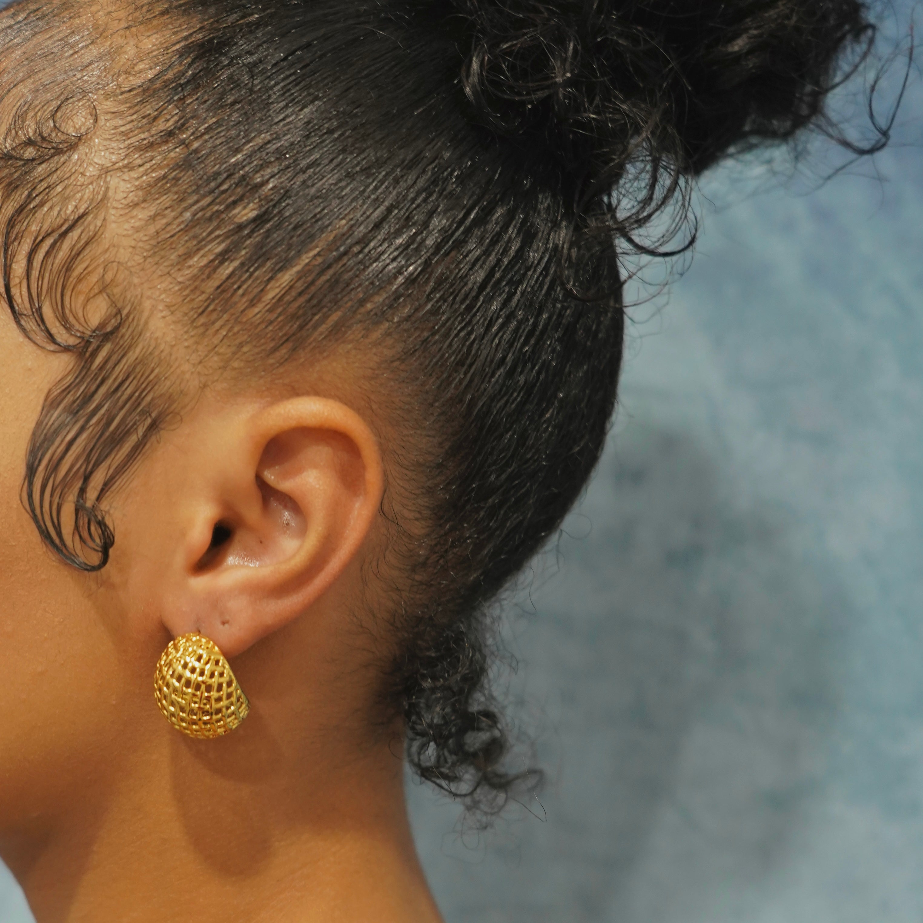 Hollow Net Earrings