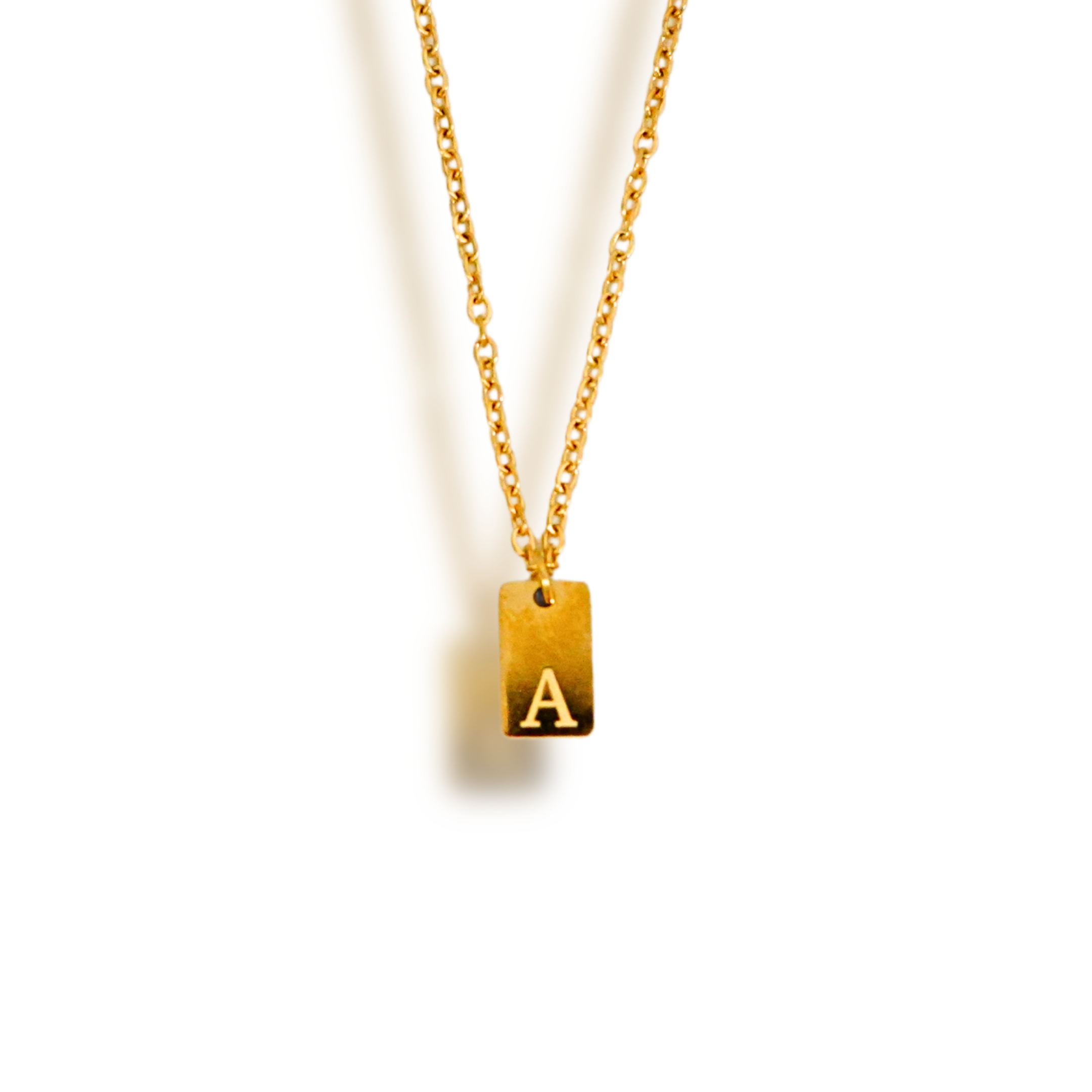 The Itty Bitty Initial Tag Necklace